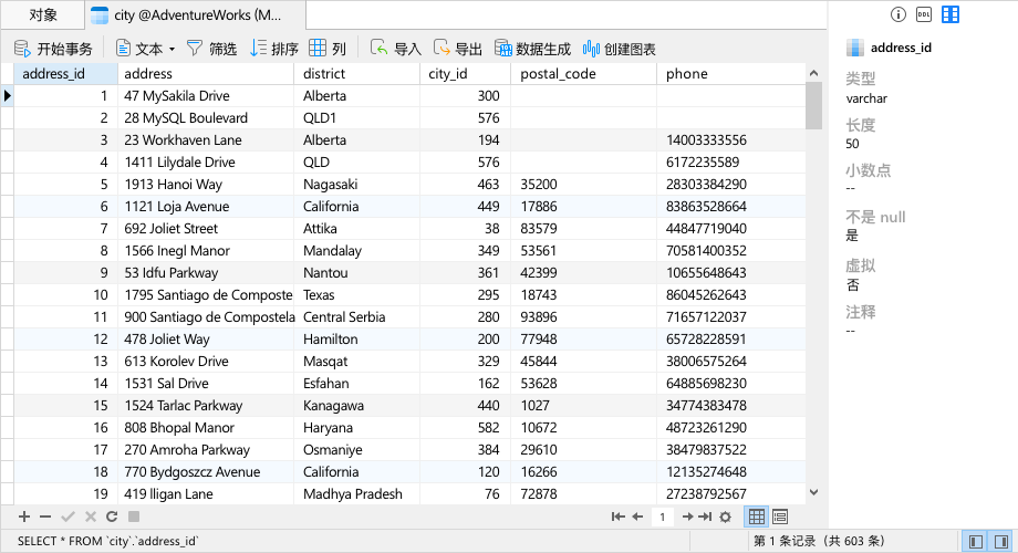 Navicat Premium 16字段信息